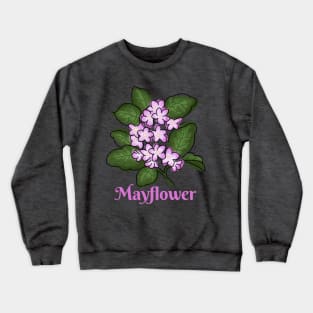 Mayflower Crewneck Sweatshirt